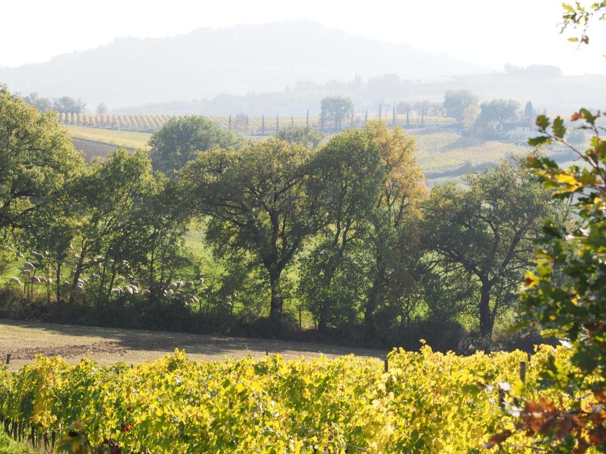 Agriturismo Poggiarellino - 몬탈치노 외부 사진
