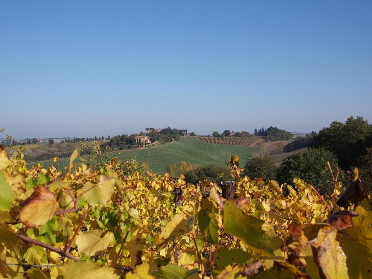 Agriturismo Poggiarellino - 몬탈치노 외부 사진