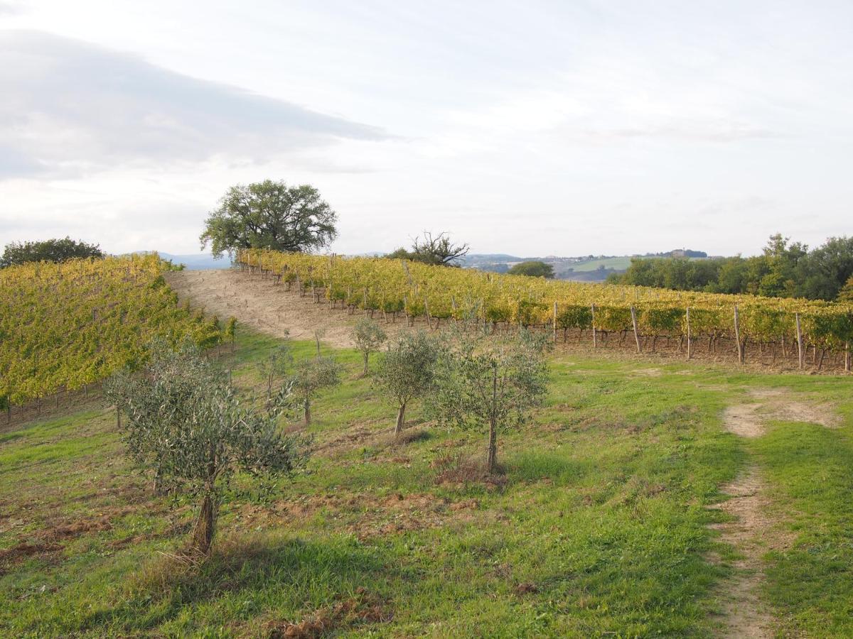 Agriturismo Poggiarellino - 몬탈치노 외부 사진