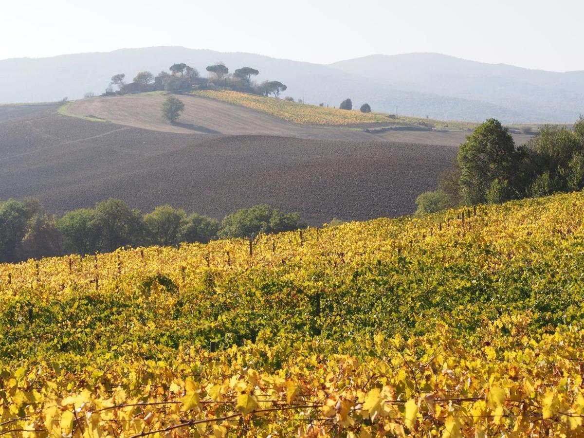 Agriturismo Poggiarellino - 몬탈치노 외부 사진