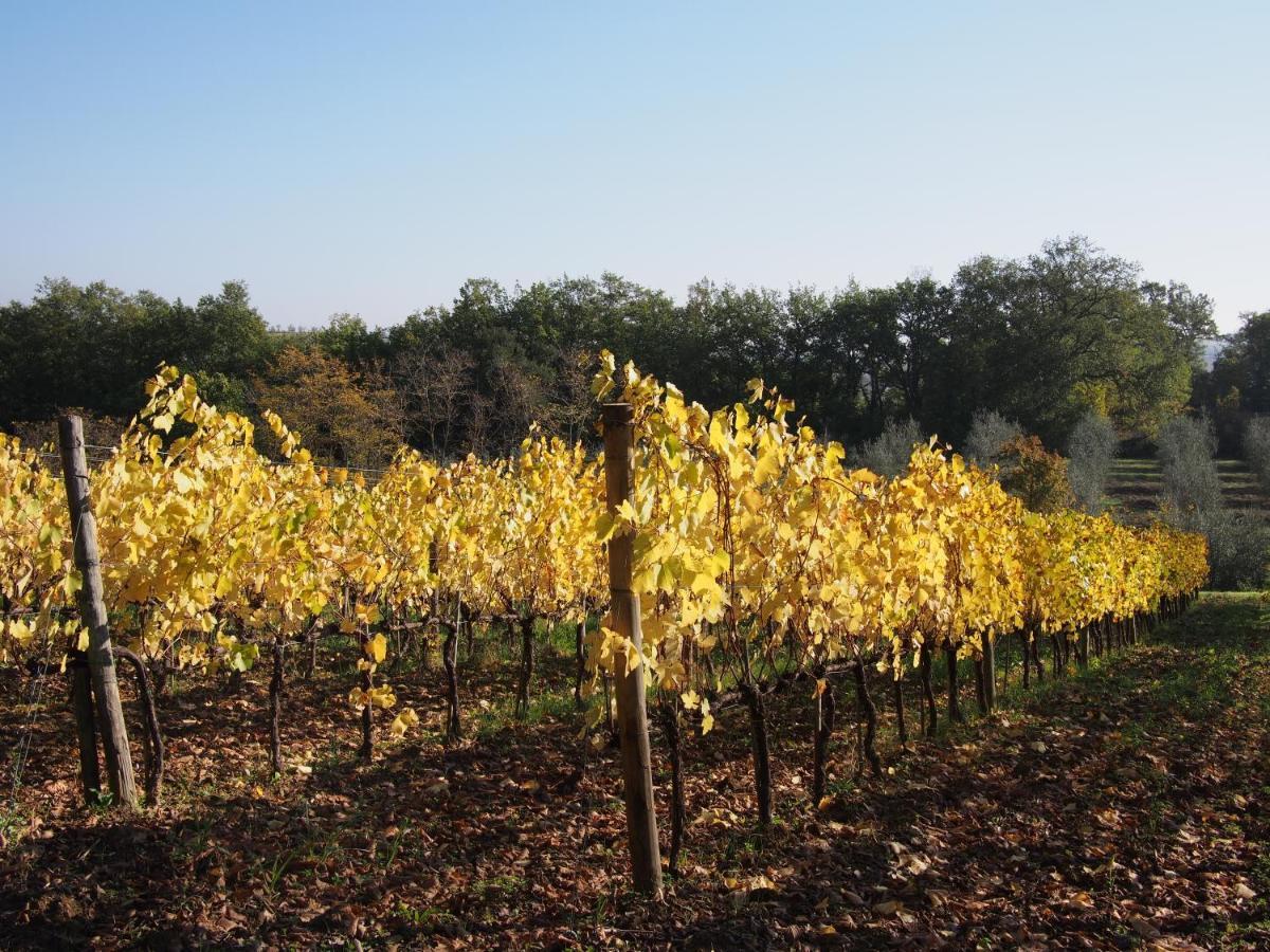Agriturismo Poggiarellino - 몬탈치노 외부 사진